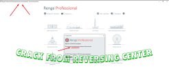 Renga Professional crack скачать кряк ключ serial key torrent.jpg