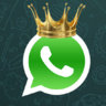 Whatsapp Bulk Messenger Suite Pro