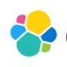 Elasticsearch Enterprise