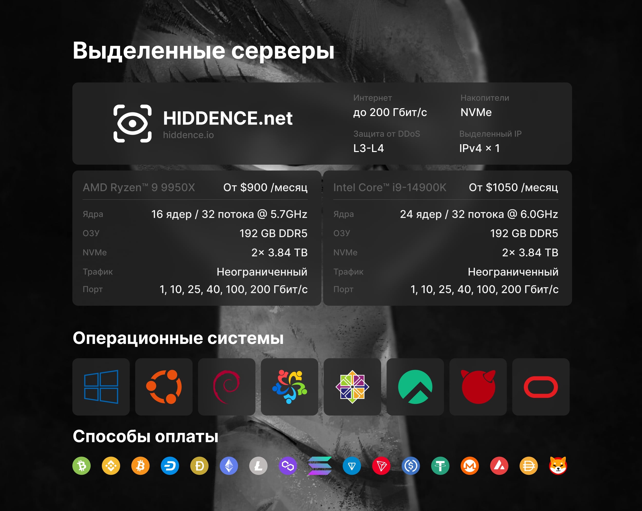 dedicated-ru.jpeg
