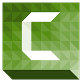 camtasia-165icon.png