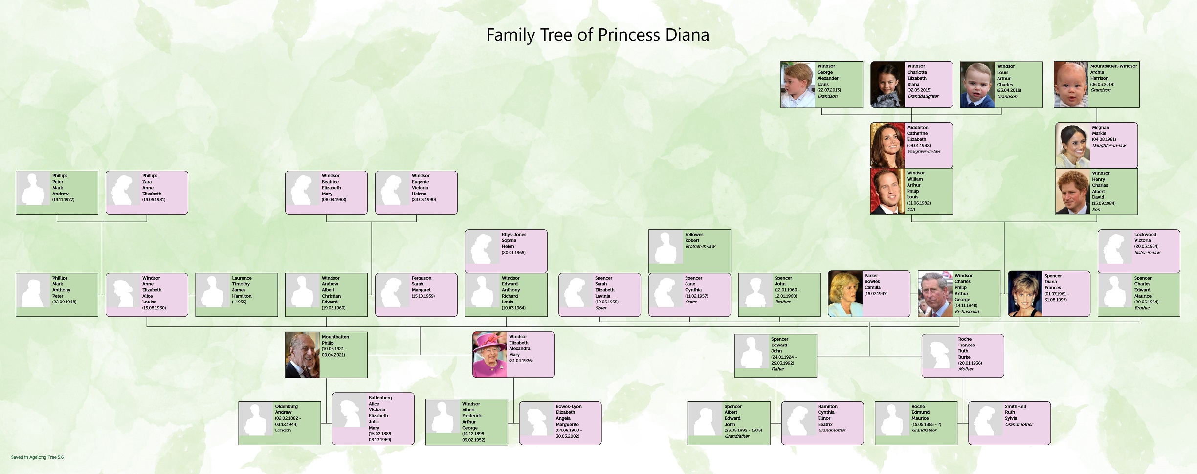 Родословное древо Принцессы Дианы
