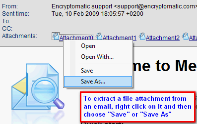 Программный снимок экрана сообщения электронной почты с вложенными файлами.